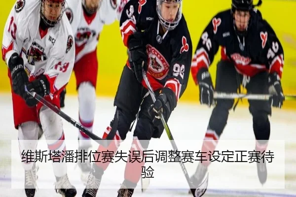 维斯塔潘排位赛失误后调整赛车设定正赛待验
